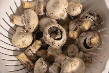 ready to cook pasta in the kitchen