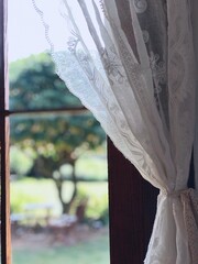 window with curtains