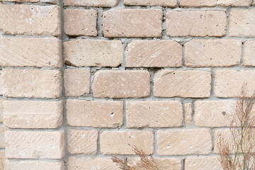 wall texture