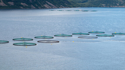 Obraz premium Aquakultur in Norwegischen Fjorden