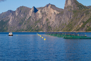 Aquakultur in Norwegischen Fjorden