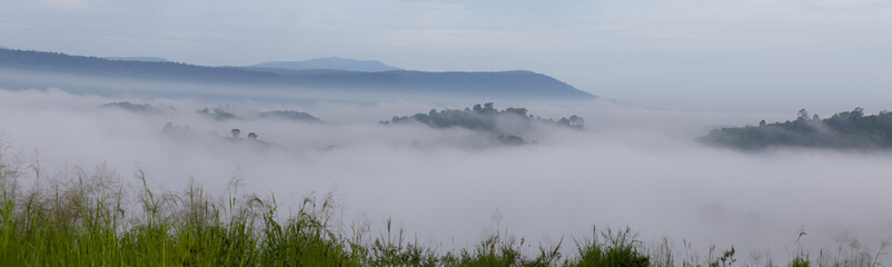 Sea of fog and mist cover all the mountain after raining, winter nature good view on the morning.
