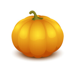 Vector illustration of glossy pumpkin isolated on white