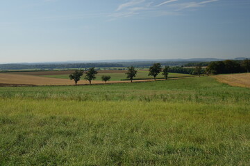 Typical Lorraine landscape in late summer near Launstroff, Moselle, Lorraine, Grand Est, France
