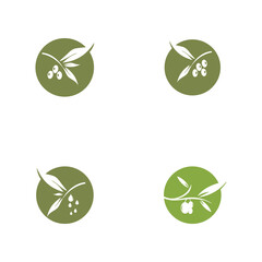 olive icon vector illustration design template