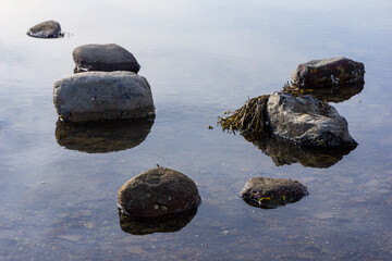 Several rocks and seaweed surrounded by calm seawater on the coast of Maine in the summertime.