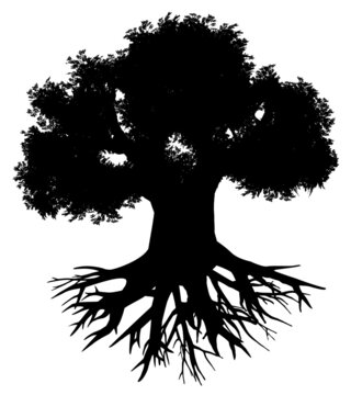 High detail vector silhouette of a baobab with its roots.