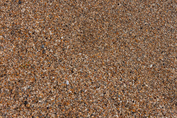 Beach sand and sea shells. Marine theme