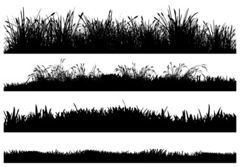 Isolated vector silhouettes of grass-covered ground. High detail reeds, dry grass, high grass and low grass. - obrazy, fototapety, plakaty