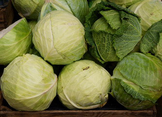 fresh green cabbage as tasty vegetables close up