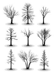 Obraz premium High detail vector silhouettes of dead or leafless trees.
