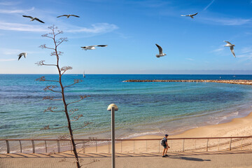 Tel Aviv New promenade along the Mediterranean sea and sandy beach. Guy is walking along the embankment. Flock seagulls soar in bright blue sky. Seaside popular recreation area. View on Hilton Bay