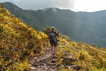 Obraz premium rear view of young woman in plaid shirt with big backpack with trekking poles walking along mountain trail hiking among mountain plants of rhododendron and ferns , healthy active lifestyle