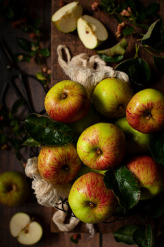 An assortment of eating apples with one cut into pieces.