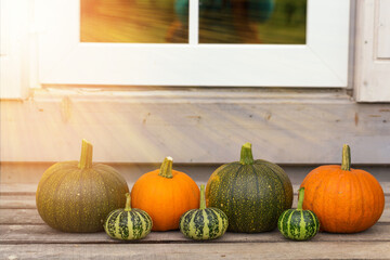 Happy Halloween greeting card. Bright orange pumpkin. Natural vegetable harvest decorations.