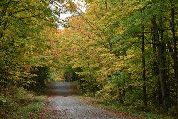 The maple road in autumn, Sainte-Apolline, Québec, Canada