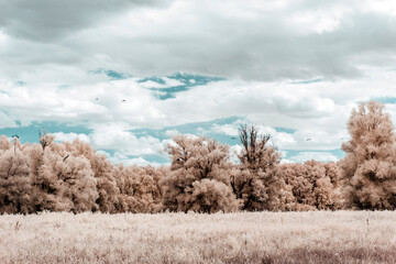 Infrared photography, landscape, nature in invisible spectrum