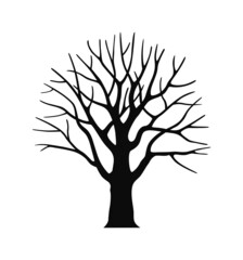 silhouette of a tree