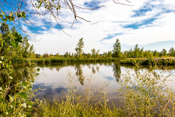 Peaceful pond in centre of town. Coledale, Alberta, Canada