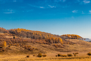 Fall colours in the valley. Ghost Land Use Area, Alberta, Canada