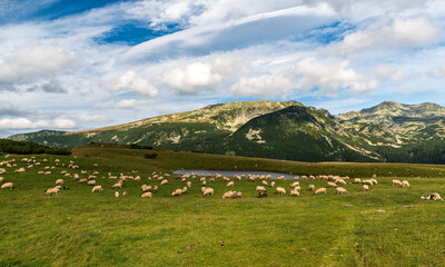 Fototapeta na wymiar Saua Plaiul Mic in Retezat mountains in Romania