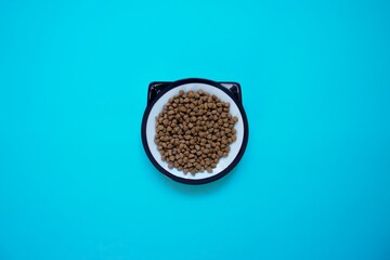 Pet bowl on blue background close up
