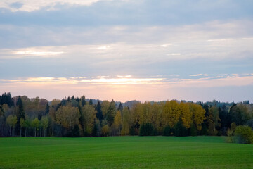 a beautiful evening sunset over autumn trees with green meadows and dramatic skies