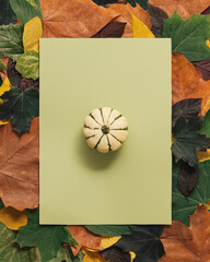 Autumn scene background with leaves and pumpkin. Minimal nature seasonal conccept. Flat lay composition.