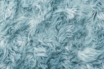 Fur texture top view. Blue fur background. Fur pattern. Texture of turquoise shaggy fur. Wool texture. Flaffy sheepskin fur close up