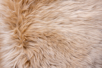 Fur texture top view. Brown fur background. Fur pattern. Texture of brown shaggy fur. Wool texture. Flaffy sheepskin fur close up