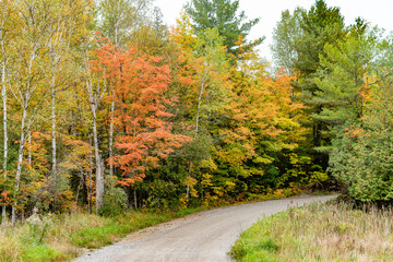 Fall Colours Colors Road Right Turn