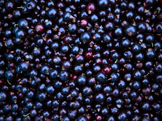 a bunch of harvested blackcurrant berries, natural texture