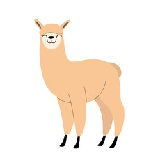 Cute alpaca - cartoon animal character. Vector illustration in flat style isolated on white background.