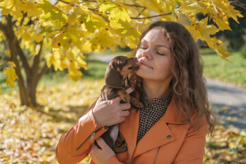 cute dachshund puppy kissing his mistress in autumn park