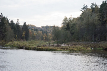Obraz premium a beautiful river surrounded by gray skies and fallen dry trees and green forest