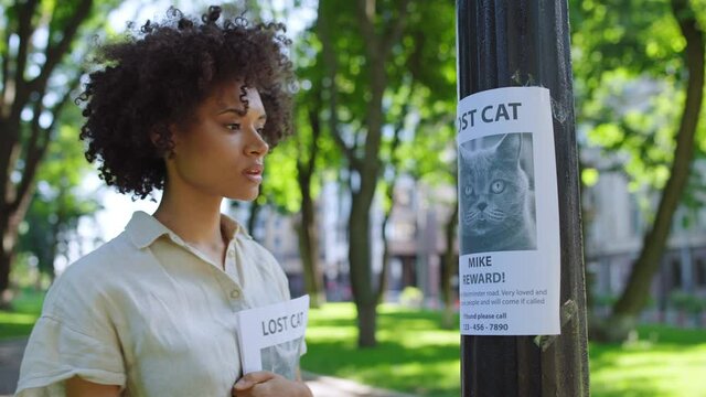 Female animal shelter volunteer hanging posters with missing cat around city