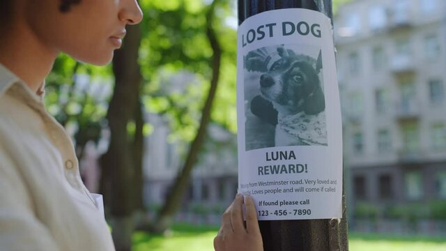 Woman trying to find her lost dog, placing missing pet posters, city volunteer