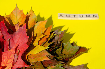 Naklejka na ściany i meble Bright autumn leaves next to blurred Lettering Autumn lie on yellow background with copy space. Texture of Inscription Autumn and maple leaves in bouquet on yellow surface. Autumn composition.