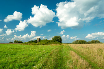 Fresh green meadow and clouds on the sky