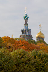 Church of the Saviour on Spilled Blood. Tree changing colors in fall. St. Petersburg, Russia.