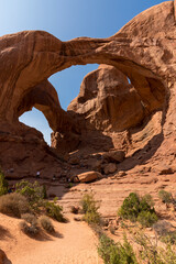 landscape on arches national park in the united states of america