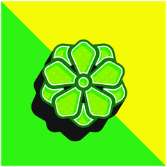 Anemone Green and yellow modern 3d vector icon logo