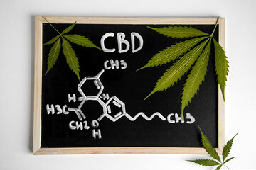 The formula of hemp CBD. Structural model of the molecules of cannabidiol and tetrahydrocannabinol. Medicinal cannabis. Medical marijuana, cannabinoids and health