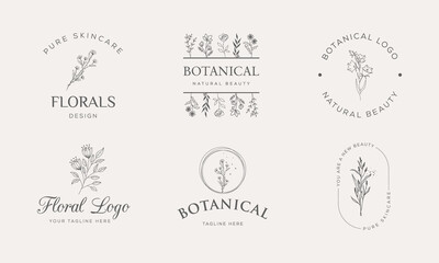 illustration of a set of elements