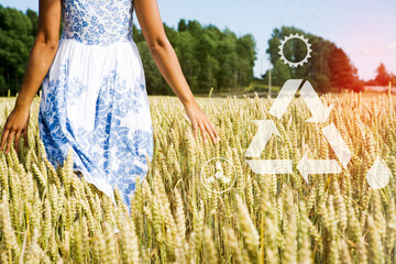 A field of corn, Sweden. with digital symbols