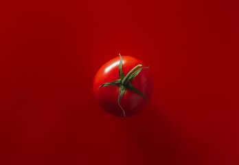 red juicy farm tomato on a red background
