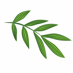 illustration hand drawn stylized tropical leaf