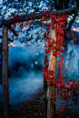 Drewniana furtka we mgle w jesiennych kolorach