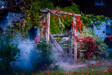 Drewniana furtka we mgle w jesiennych kolorach
