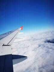 Obraz premium wing of airplane